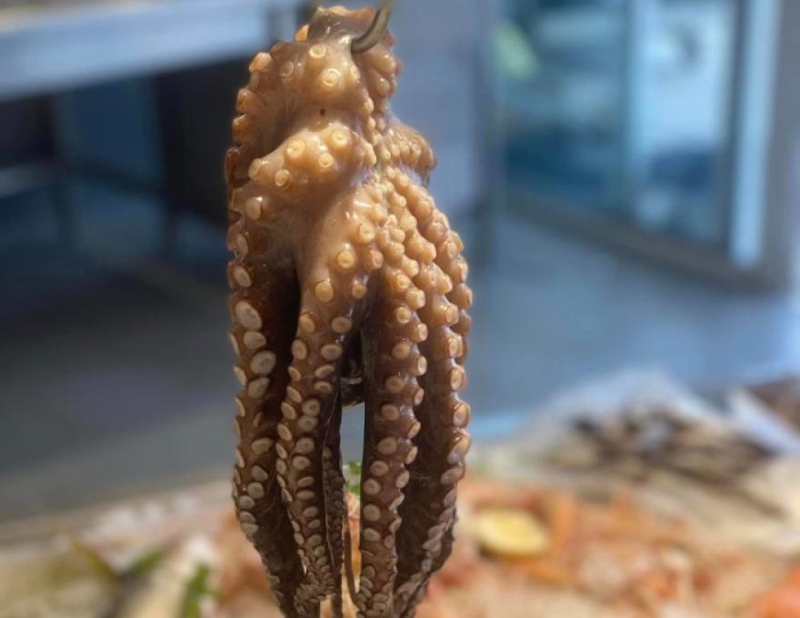 Ανεμότρατα3