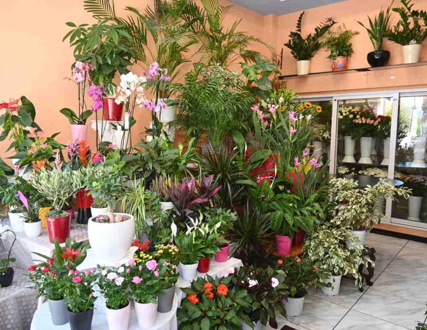 Ανθοδετικός Οίκος Μακράκης0