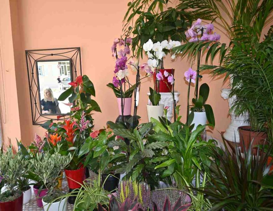 Ανθοδετικός Οίκος Μακράκης4