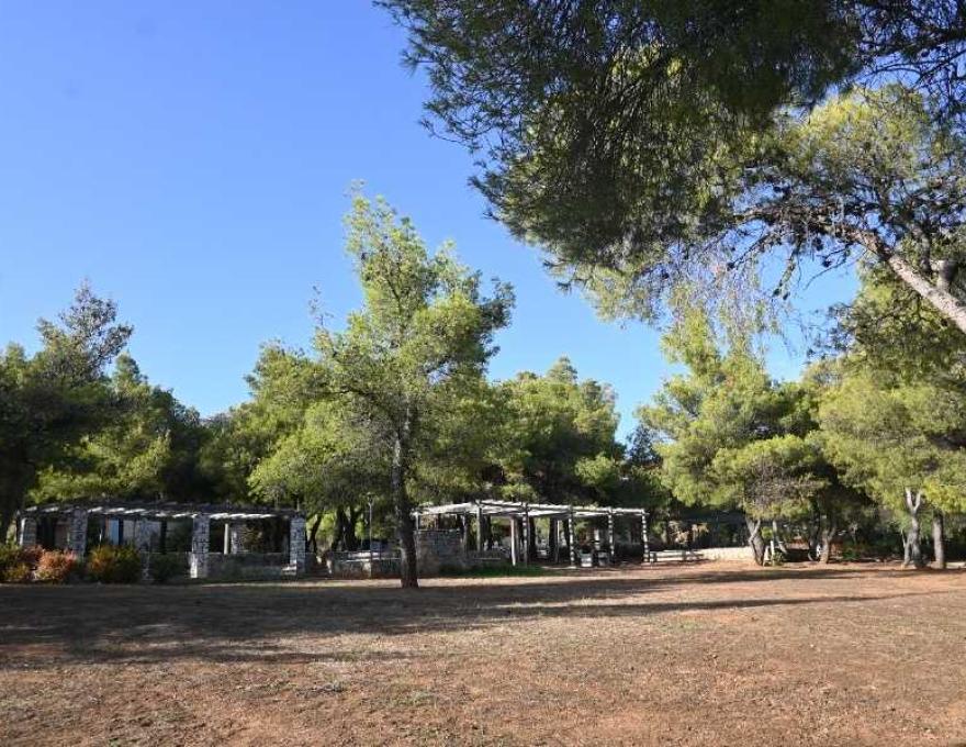 Δάσος Ορφέως & Δημοκρίτου1