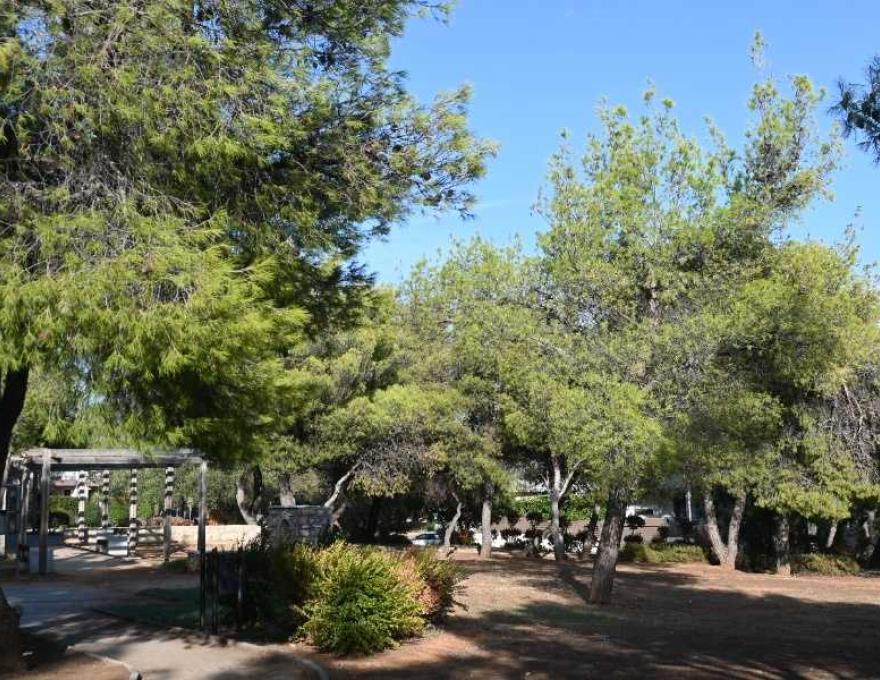 Δάσος Ορφέως & Δημοκρίτου4