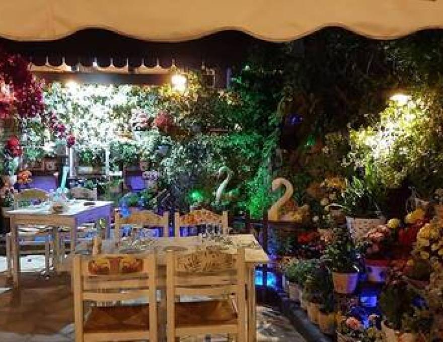 Η Αυλή του Νώντα2