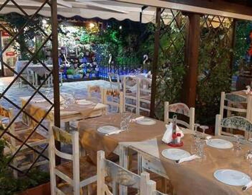 Η Αυλή του Νώντα3