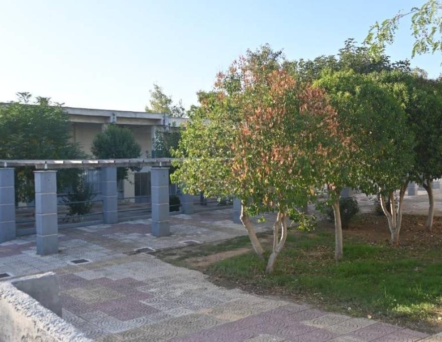 ΚΑΠΗ Προφήτη Ηλία2