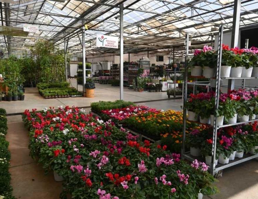 Κεντρική Ανθαγορά Ελλάδος4