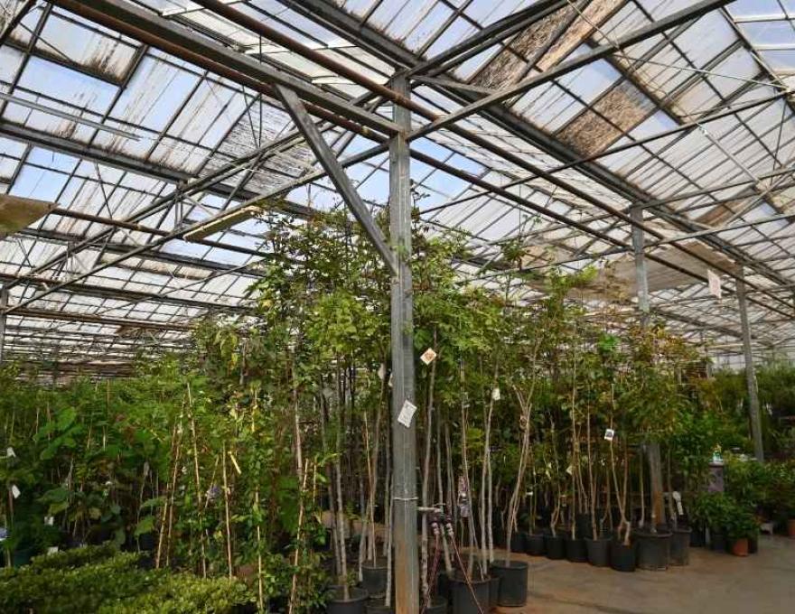 Κεντρική Ανθαγορά Ελλάδος2