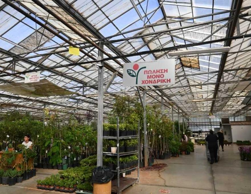 Κεντρική Ανθαγορά Ελλάδος1