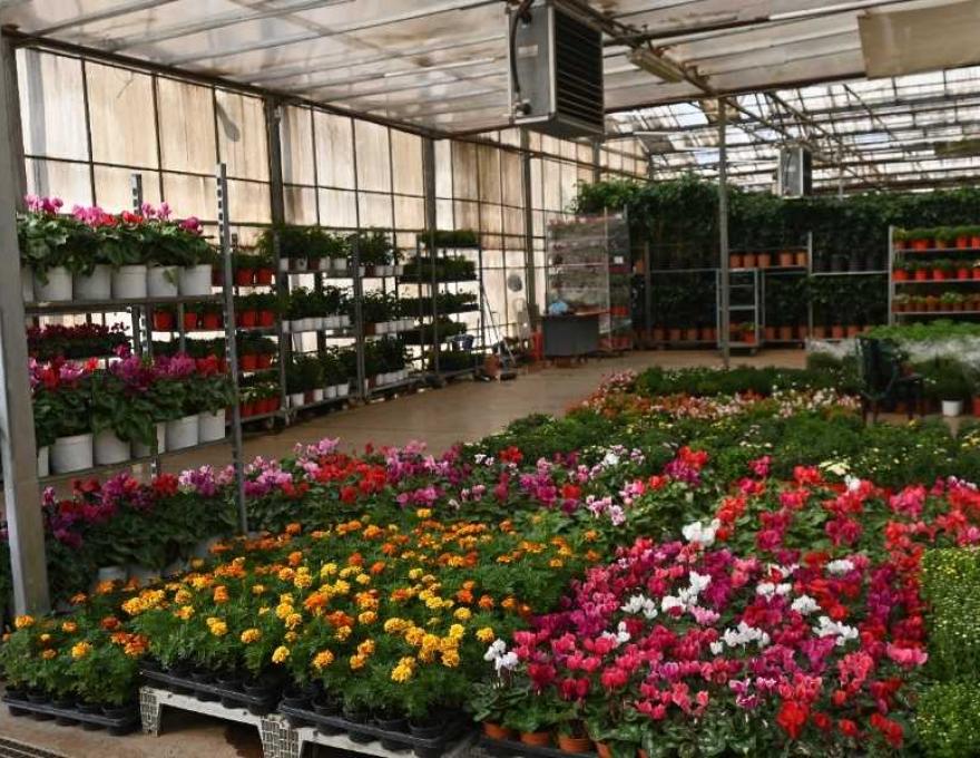 Κεντρική Ανθαγορά Ελλάδος3