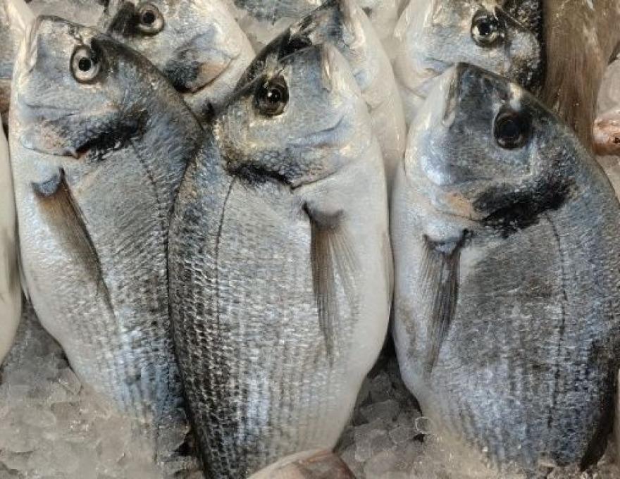 Λαϊκή Αγορά Αγ. Πέτρος1