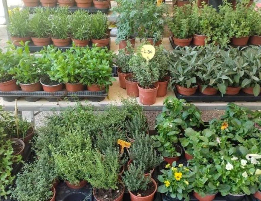 Λαϊκή Αγορά Γήπεδο0