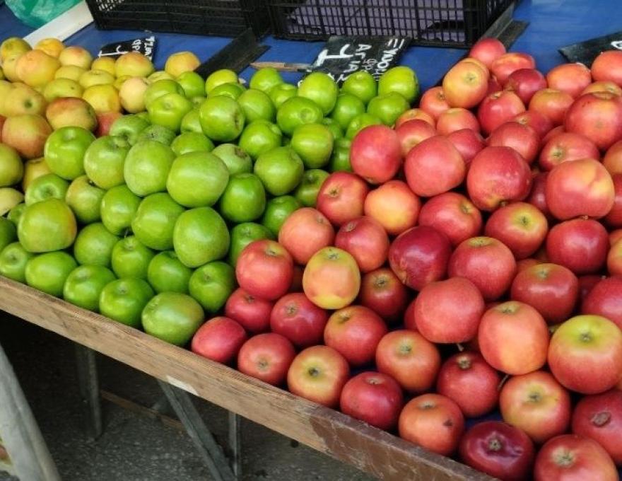 Λαϊκή Αγορά Μπόσδα4
