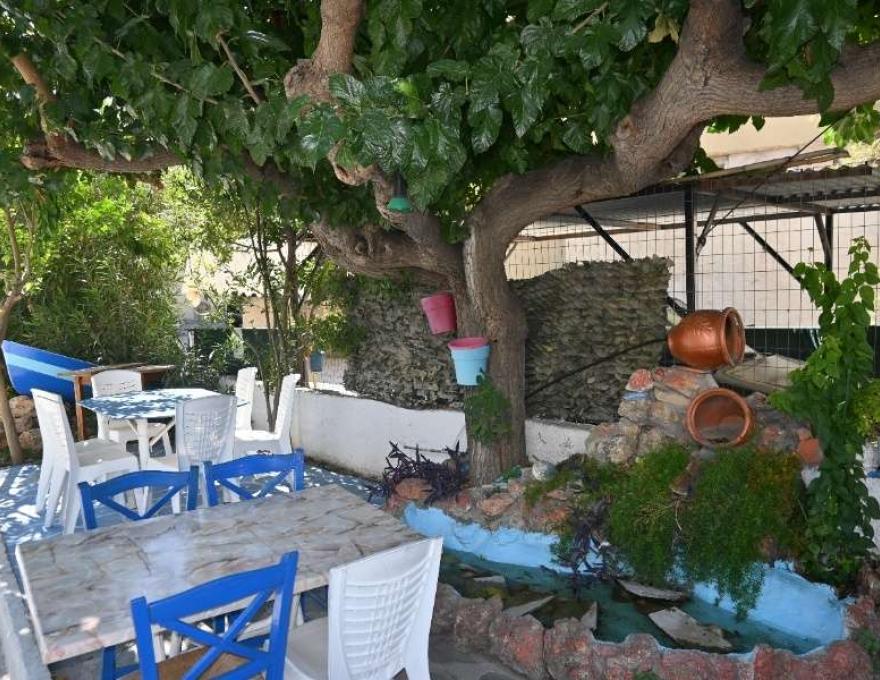 Ο Βολιώτης3