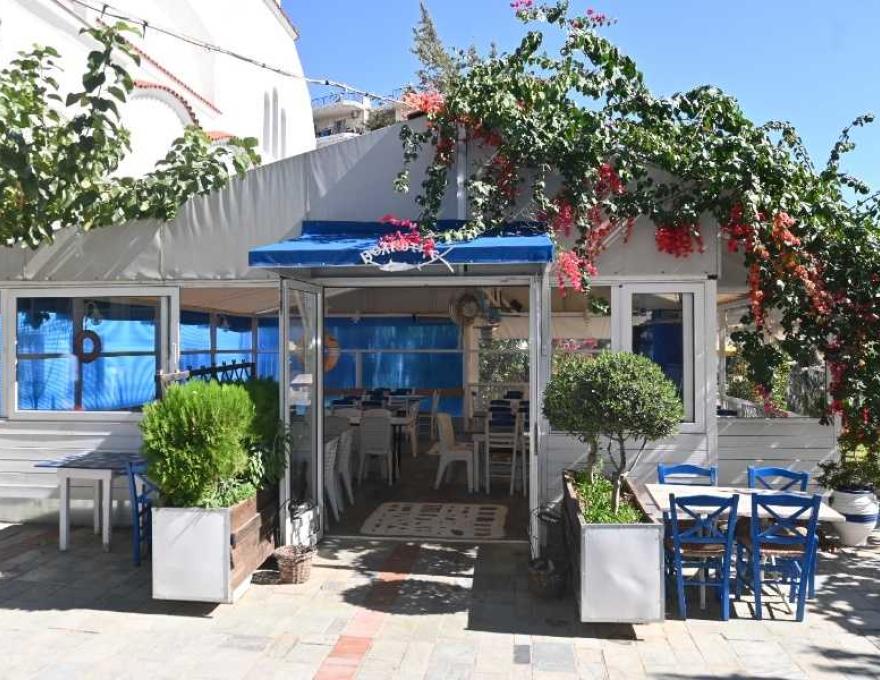 Ο Βολιώτης4