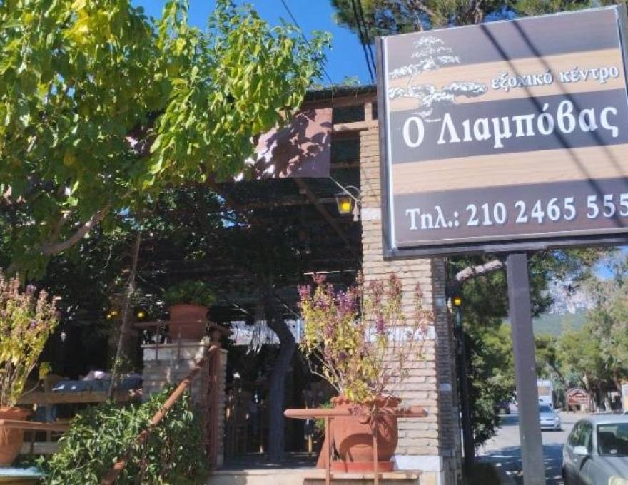 Ο Λιαμπόβας3