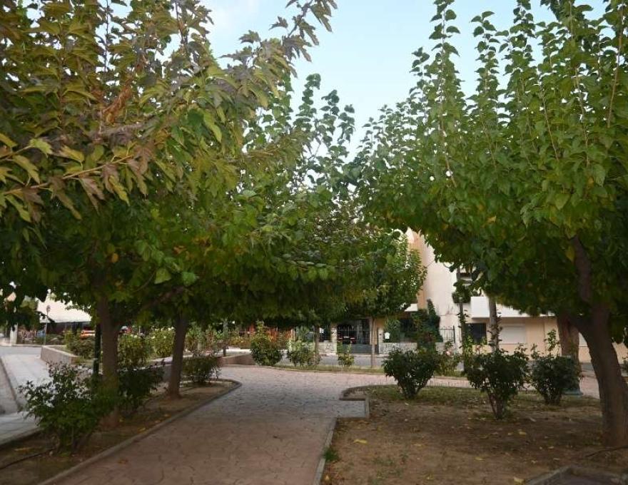 Πάρκο Πρασίνου Πτολεμαϊδος2