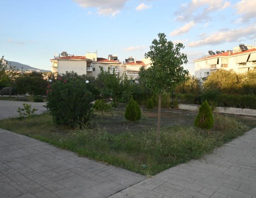 Πλατεία Αγίας Άννας4