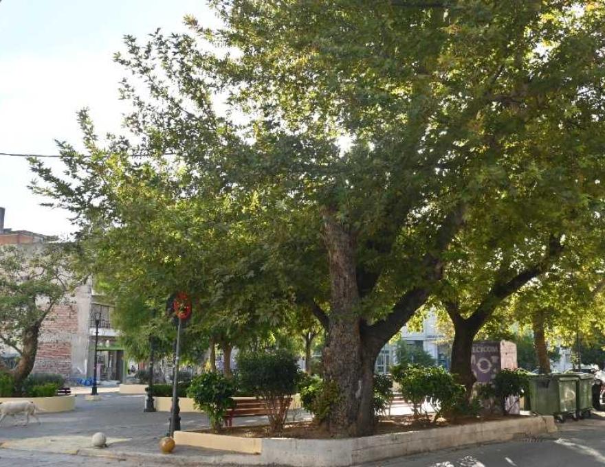 Πλατεία Καράβου4