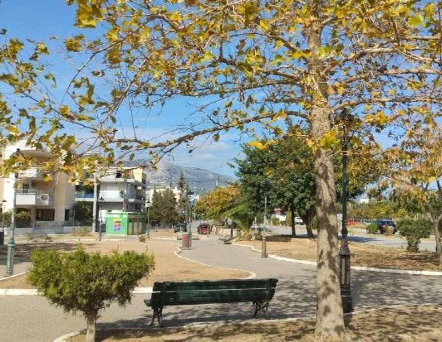 Πλατεία Πλήθωνος Γεμιστού3