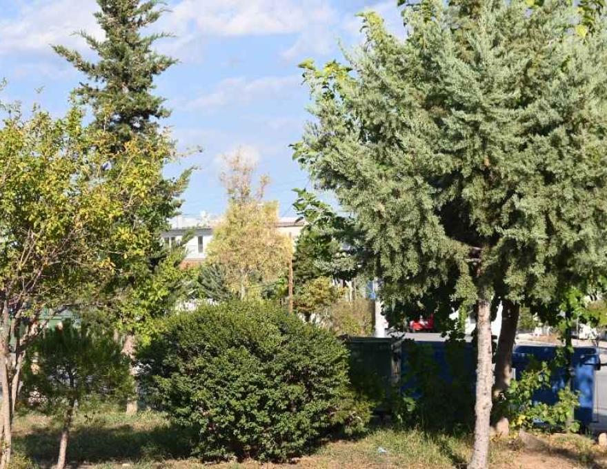 Πλατεία Χαραυγής2