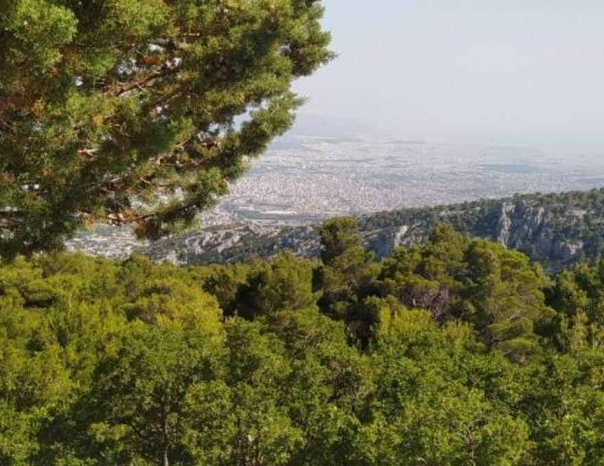 Σανατόριο Πάρνηθας0