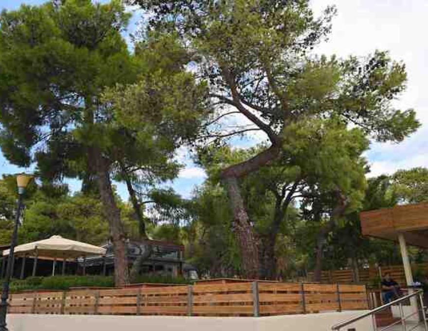 Τα Πολίτικα4