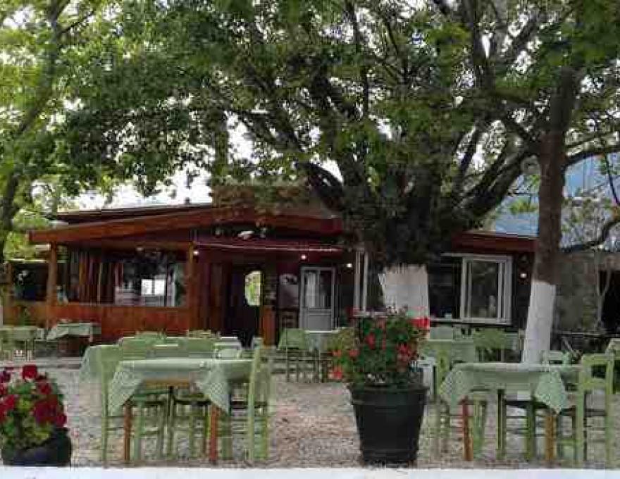 Ταβέρνα Μπαλιούσης1