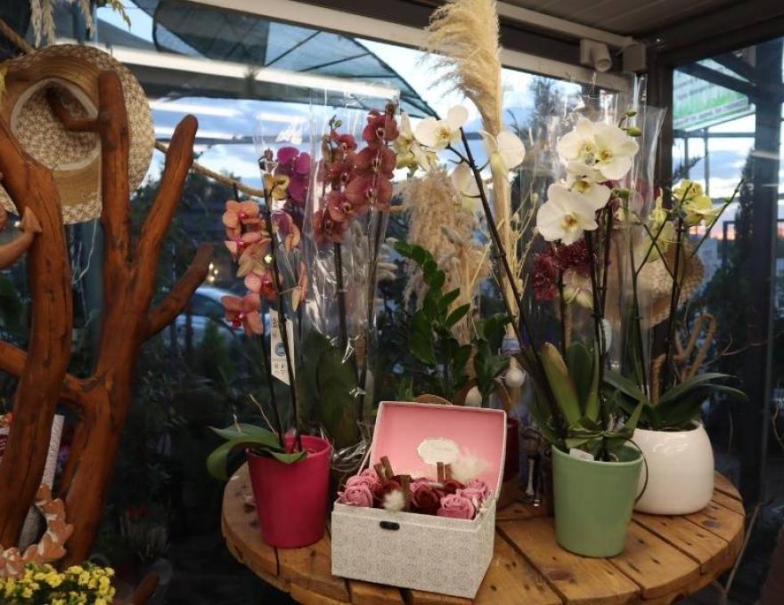 Το Λουλουδάδικο3