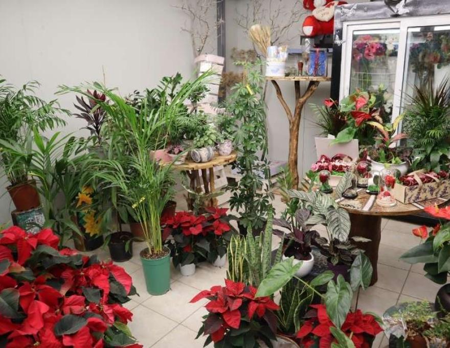 Το Λουλουδάδικο0