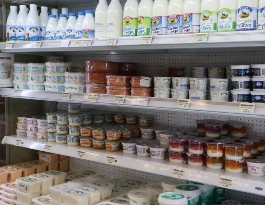 Τυροκομικά Ρούμελη2