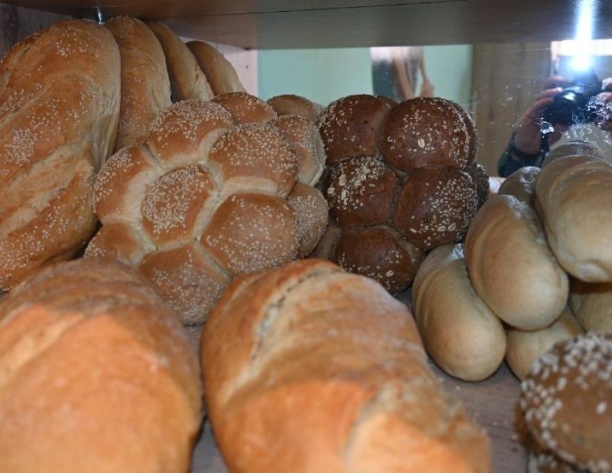 Φυλλο-δοξίες4