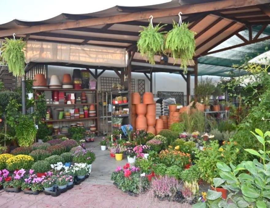 Φυτώρια Τσιπούρα3