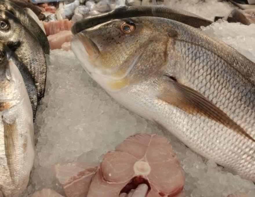 Χριστόφορος2