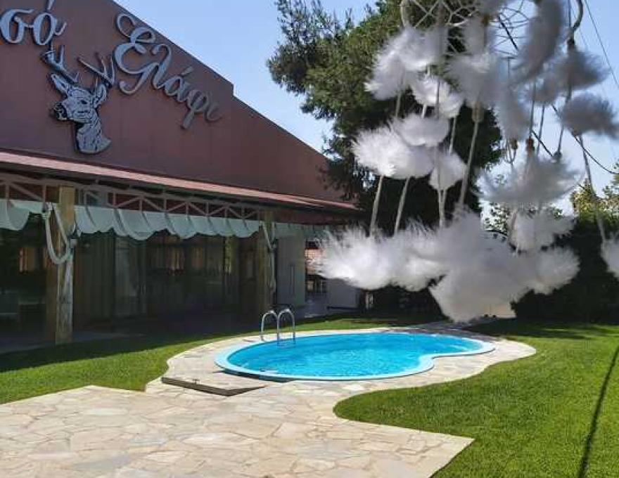 Χρυσό Ελάφι3