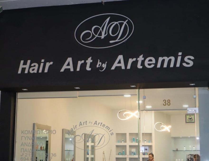 Hair Art by Artemis2