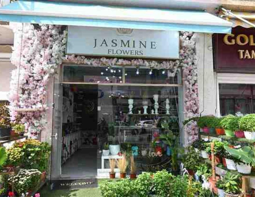 Jasmine Flowers4