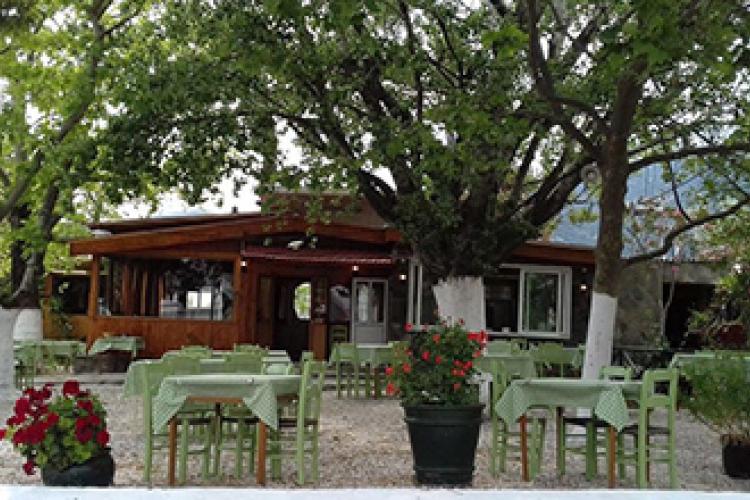 Ταβέρνα Μπαλιούσης