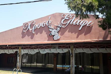 Χρυσό Ελάφι