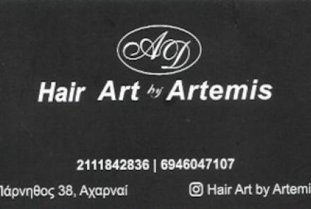 Hair Art by Artemis